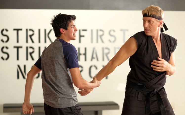 Cobra Kai Theme screenshot #6