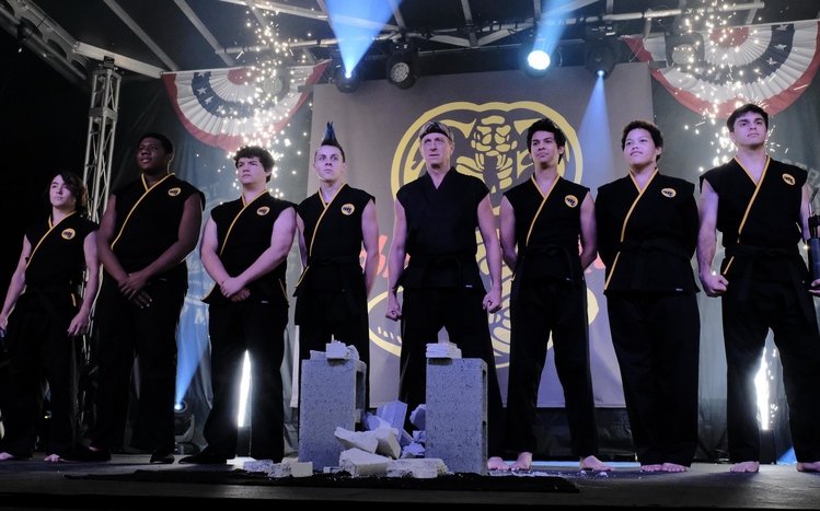 Cobra Kai Theme screenshot #15