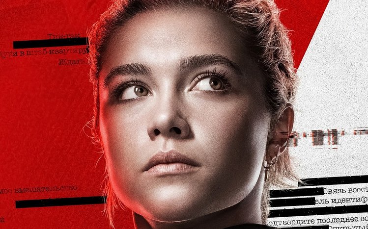 Black Widows Theme screenshot #13