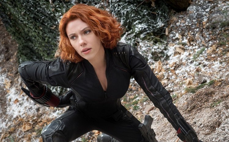 Black Widows Theme screenshot #1