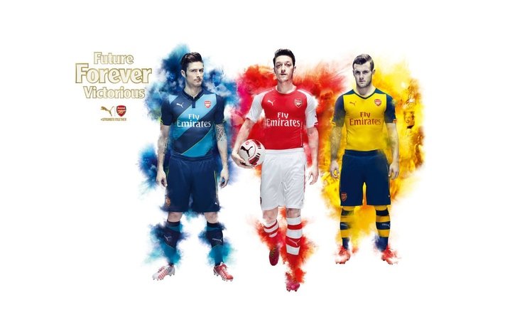 Arsenal FC Theme screenshot #8