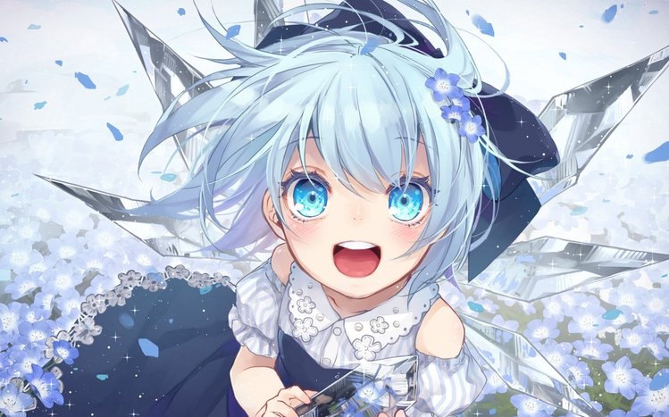 Cirno Theme screenshot #7