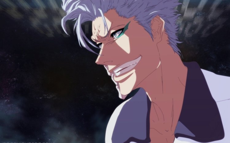 Grimmjow Jaegerjaquez Theme screenshot #6