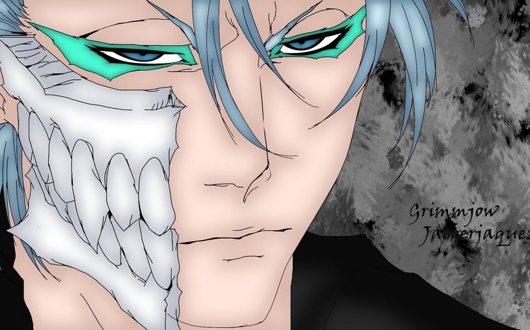 Grimmjow Jaegerjaquez Theme screenshot #5