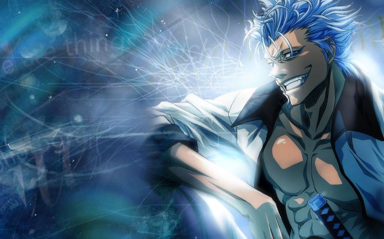 Grimmjow Jaegerjaquez Theme screenshot #4