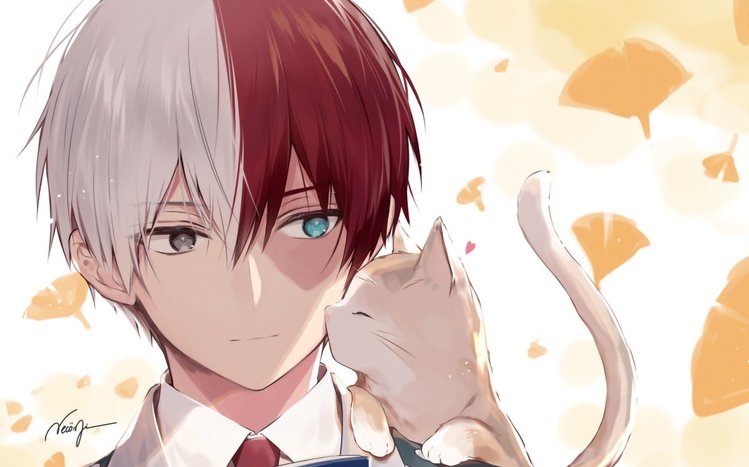 Shoto Todoroki Theme screenshot #15