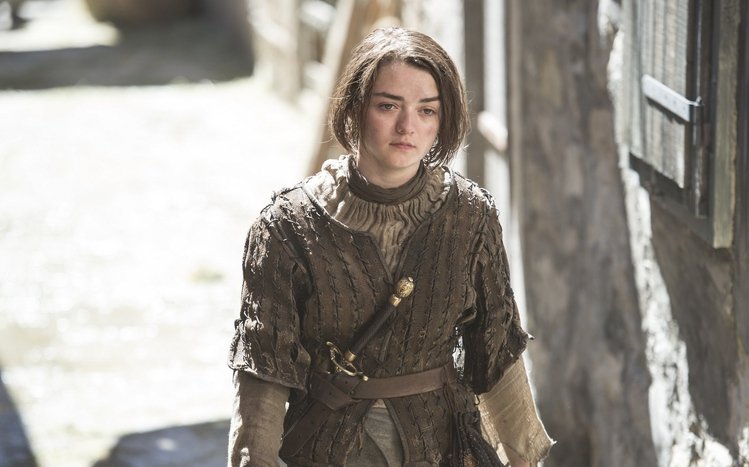 Arya Stark Theme screenshot #13