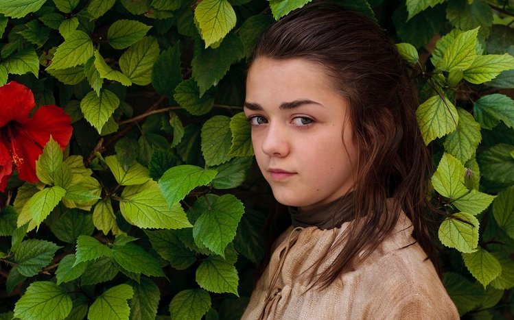 Arya Stark Theme screenshot #5