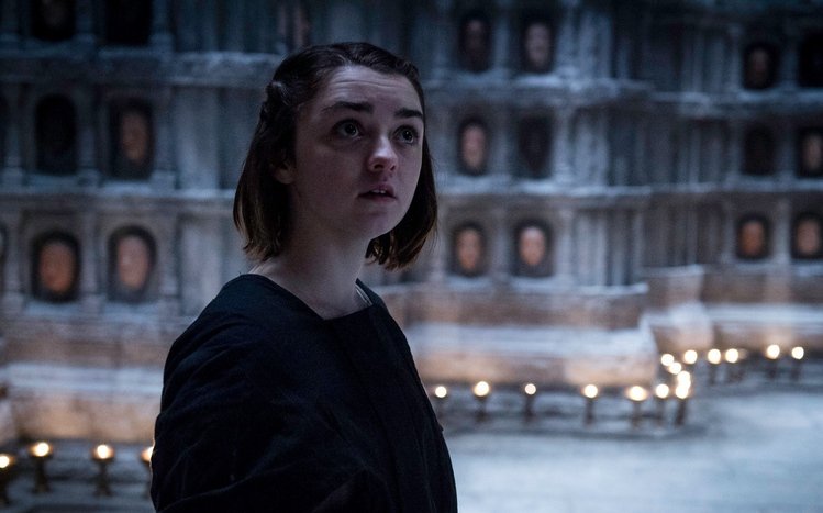 Arya Stark Theme screenshot #15