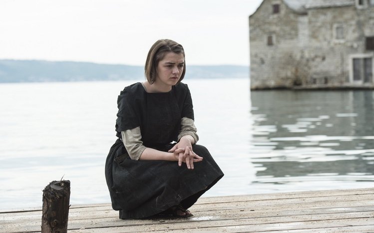 Arya Stark Theme screenshot #6