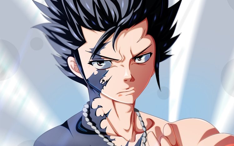 Gray Fullbuster Theme screenshot #5