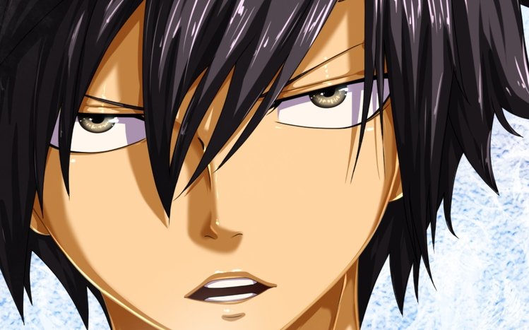 Gray Fullbuster Theme screenshot #12