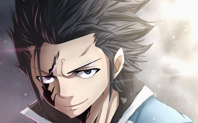 Gray Fullbuster Theme screenshot #11