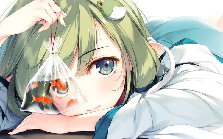 Sanae Kochiya Theme screenshot #9