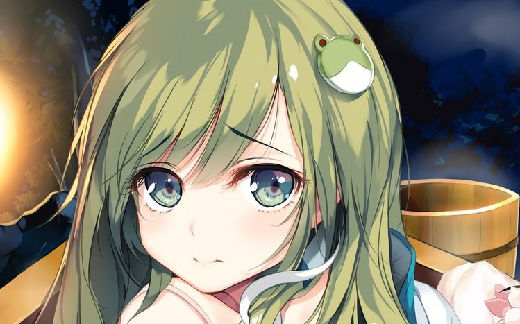 Sanae Kochiya Theme screenshot #16