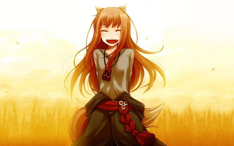 Holo Theme screenshot #9