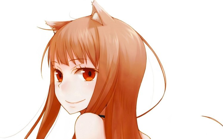 Holo Theme screenshot #10