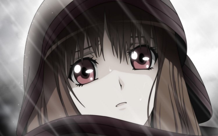 Holo Theme screenshot #5