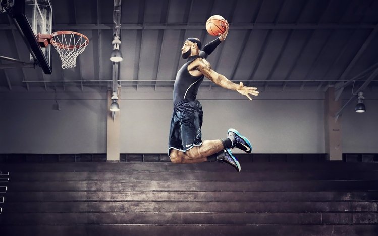 Miami Heat Theme screenshot #1