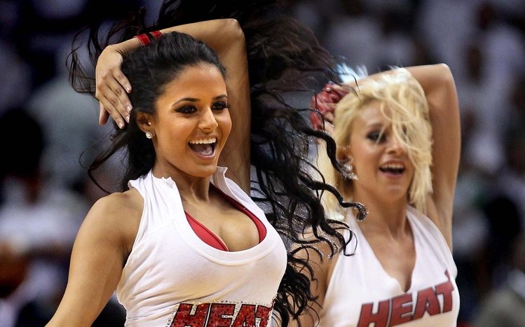 Miami Heat Theme screenshot #7
