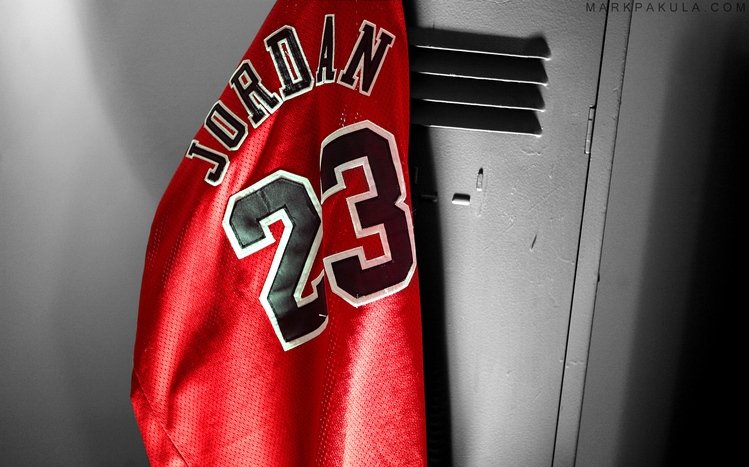 Michael Jordan Theme screenshot #1