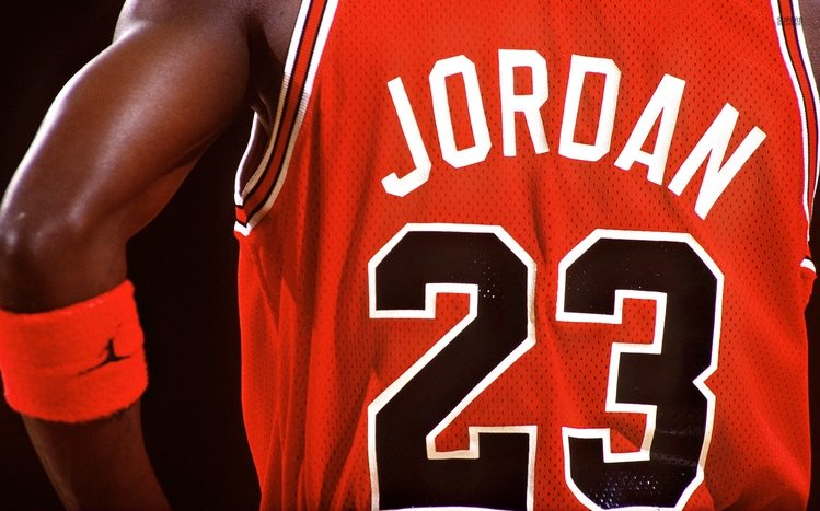 Michael Jordan Theme screenshot #11