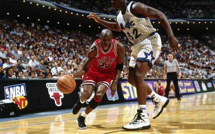 Michael Jordan Theme screenshot #3