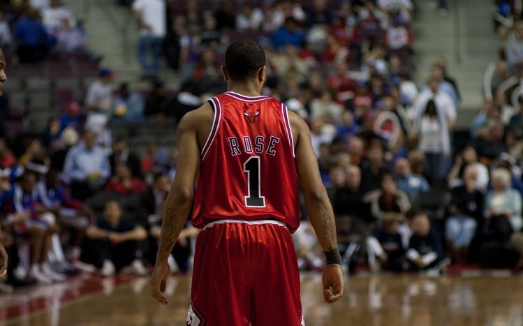 Derrick Rose Theme screenshot #9