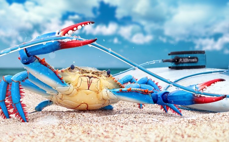 Crab Theme screenshot #7
