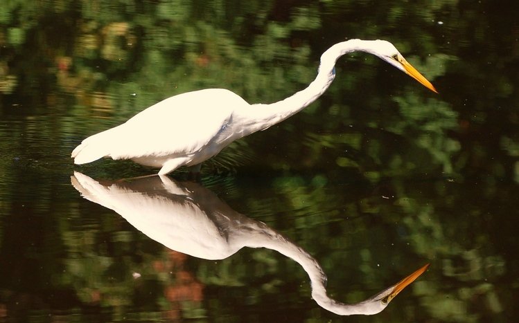 Erget Theme screenshot #7