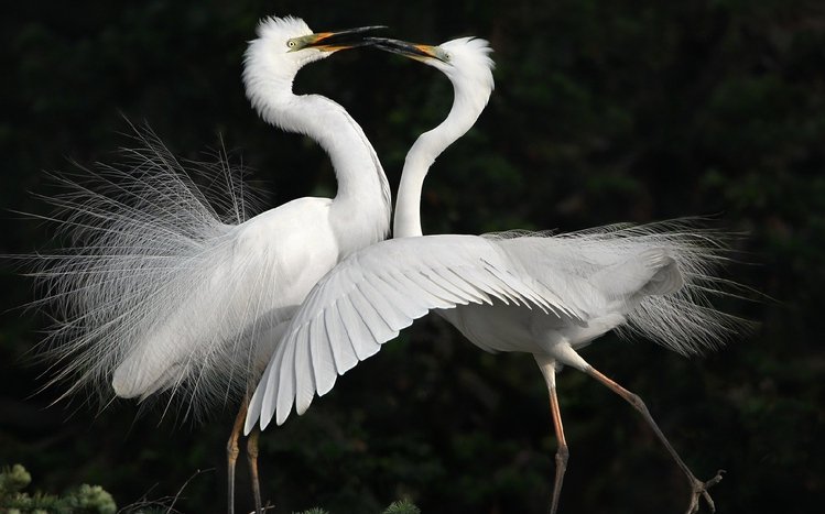 Erget Theme screenshot #5