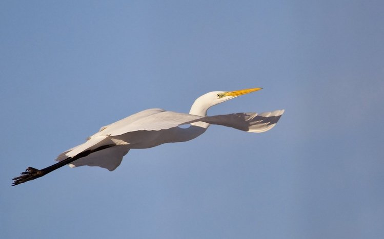 Erget Theme screenshot #3