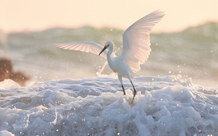 Erget Theme screenshot #12