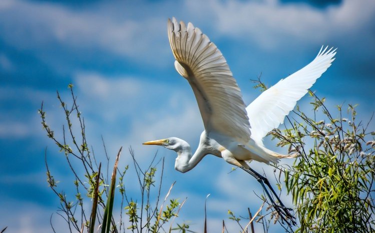 Erget Theme screenshot #10