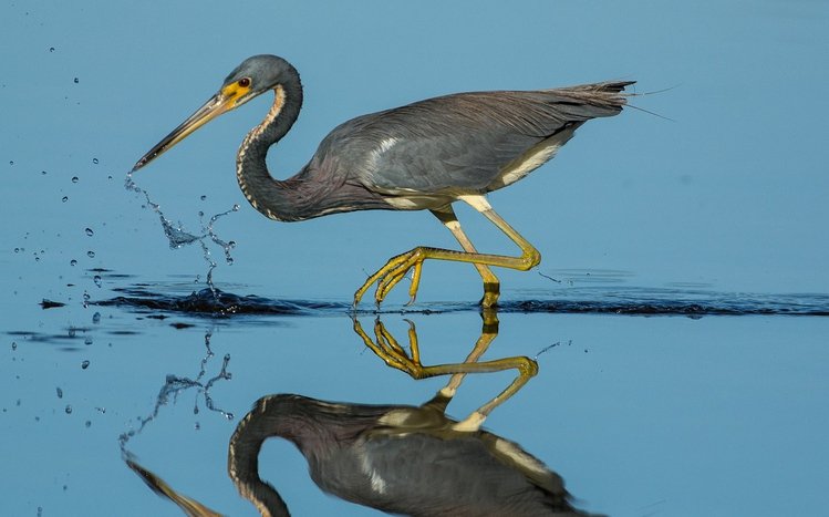 Heron Theme screenshot #9