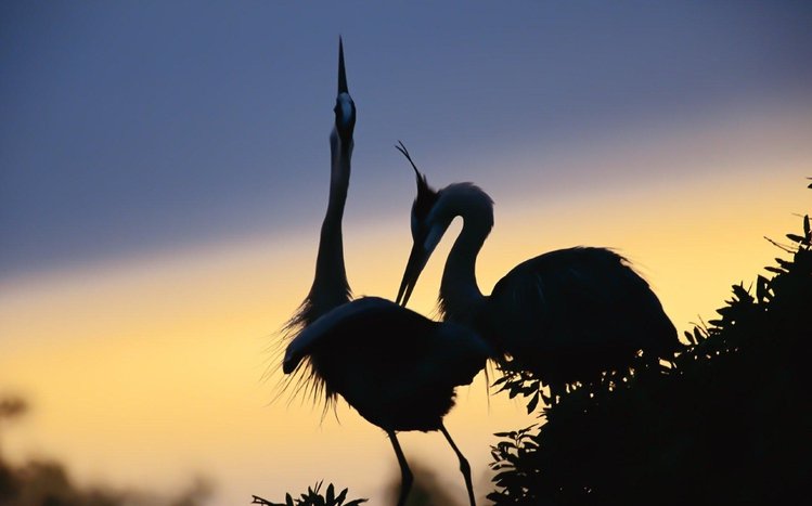 Heron Theme screenshot #14