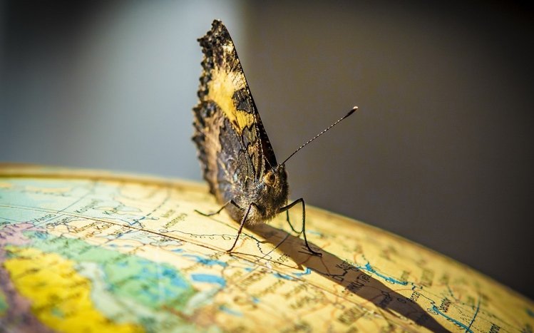 Insect Theme screenshot #13