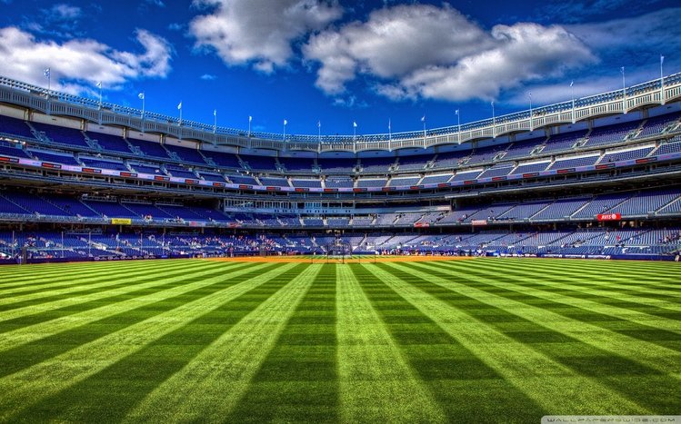 Football Theme screenshot #13