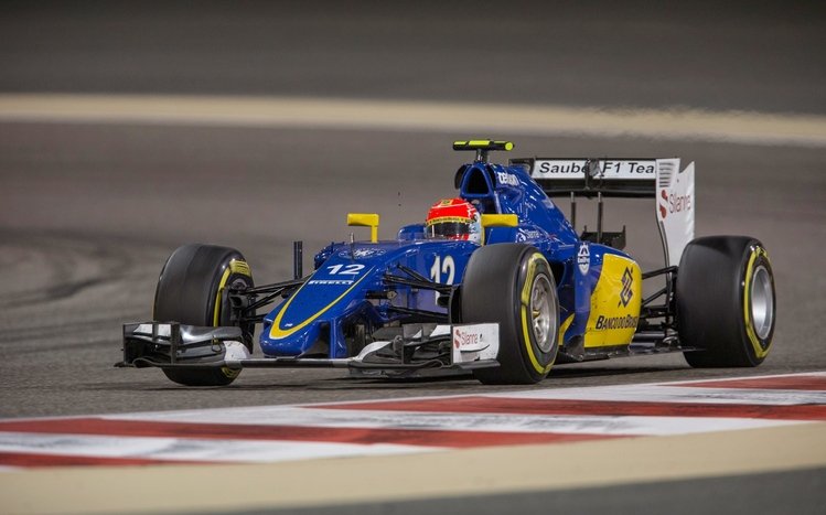 Formula 1 Theme screenshot #7