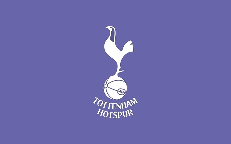 Tottenham Hotspur FC Theme screenshot #2