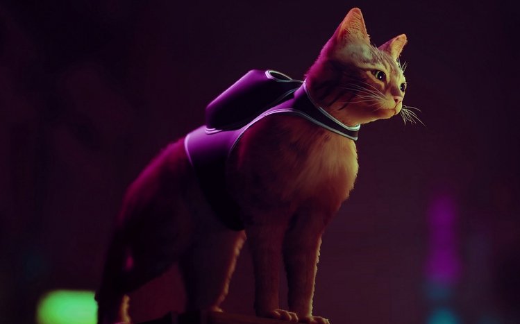 Stray Theme screenshot #6