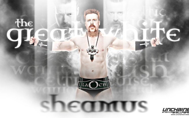 Sheamus Theme screenshot #5