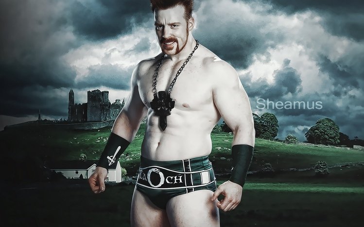 Sheamus Theme screenshot #8