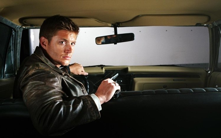 Supernatural Theme screenshot #14