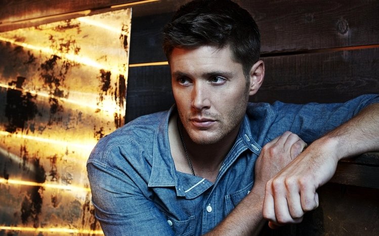 Supernatural Theme screenshot #4