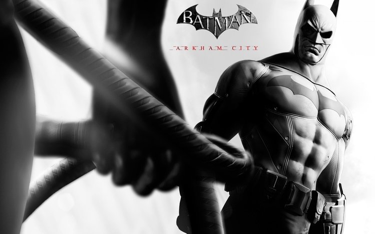Batman Arkham City Theme screenshot #26