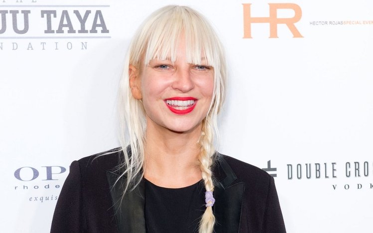 Sia Theme screenshot #8