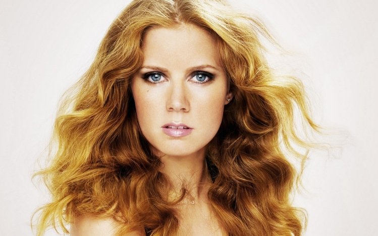 Amy Adams Theme screenshot #2