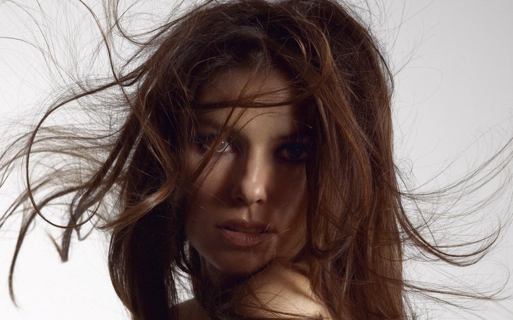 Shania Twain Theme screenshot #6