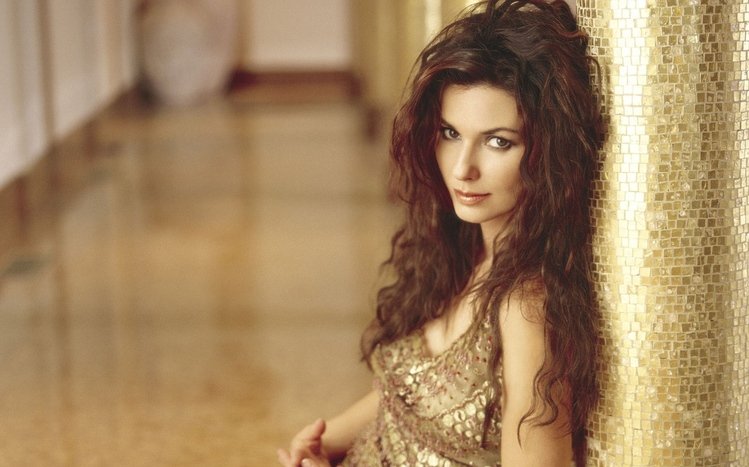 Shania Twain Theme screenshot #8